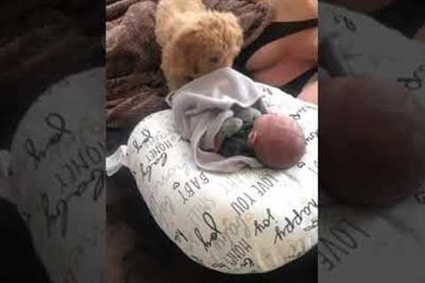 Adorable Puppy Tucks Baby In Bed