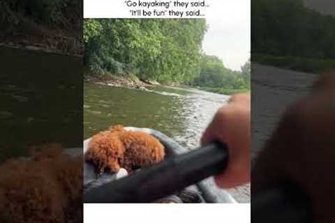 Hilarious Puppy Gets SOAKED Kayaking!