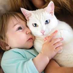 TOP 10 Cats and babies cuddling – Cute cat and baby compilation