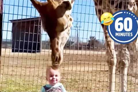 CUTE Giraffe Gives Baby Smooches 😍 | Funniest Pets, Cats & Dogs