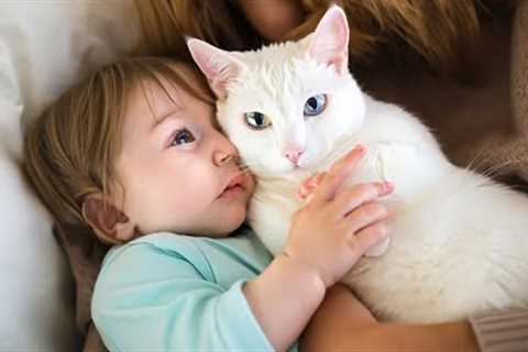 TOP 10 Cats and babies cuddling – Cute cat and baby compilation