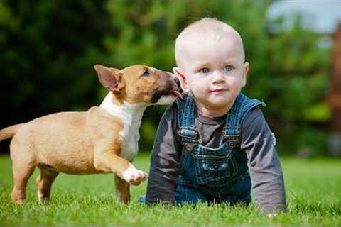 Puppies and Babies Playing Together Compilation Part 3