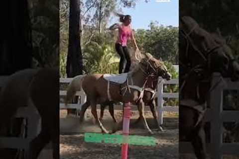 Horseback Riding | Expectation vs Reality