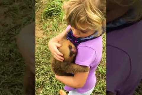 Toddler Cuddles Baby Sloth