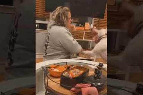 Dog Accidentally Slaps Pet Parents While Playing