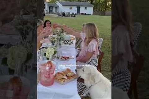 Sneaky Pup Steals Biscuits At Dinner!