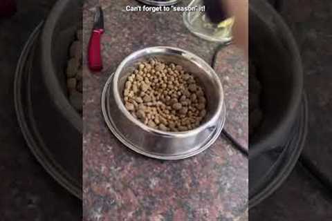 Picky Pup Only Eats Meal If Its Prepared!