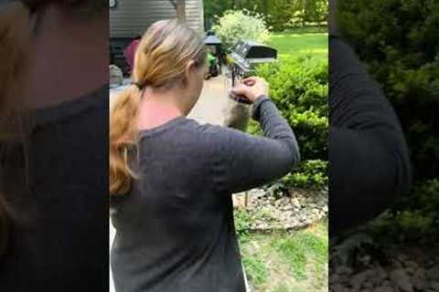 Woman Rescues Squirrel Stuck In Bird Feeder