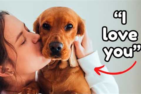 10 Secret Signs Your Dog ADORES You!