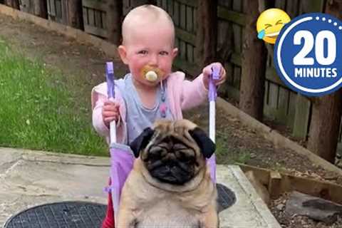 👸🐶Precious Pug Gets the Princess Treatment | FUNNIEST Pets of the Month