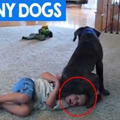 Funniest Dogs & Kids Moments 2018 | Funny Pet Reactions + Children and Babies | Cute Critters TV