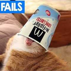 Hilarious Pet Fails | Cats and Dogs Epic Fails and Funny Moments | Cute Critters TV