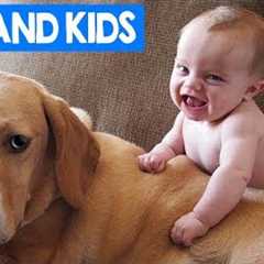 Kids And Pets Compilation 2018 | Funny Cats, Dogs and Kids Moments | Cute Critters TV