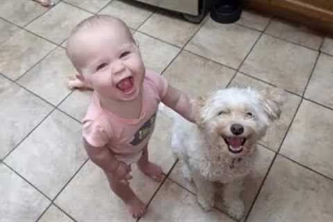 When we had a happy childhood together and beyond - Cute dog and little human