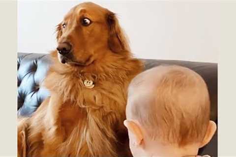 Hilarious Dog Doesn't Like New Baby 🤣| FUNNIEST Jerks of 2023!