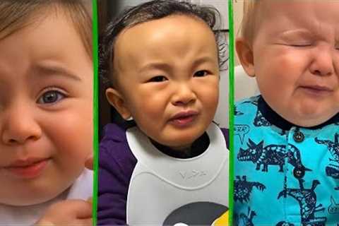 Best Babies Eating Lemons Videos of ALL TIME - Funnyplox Vault