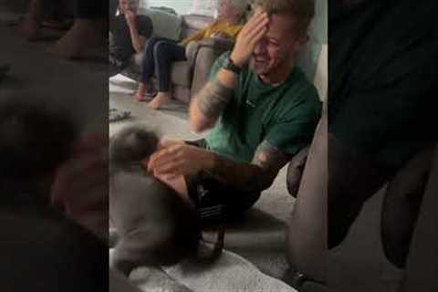 Playful Puppy Throws Himself At Guy's Face