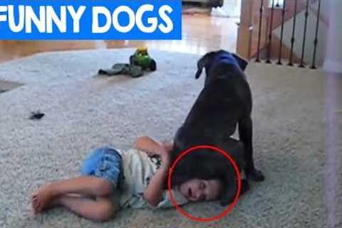 Funniest Dogs & Kids Moments 2018 | Funny Pet Reactions + Children and Babies | Cute Critters TV