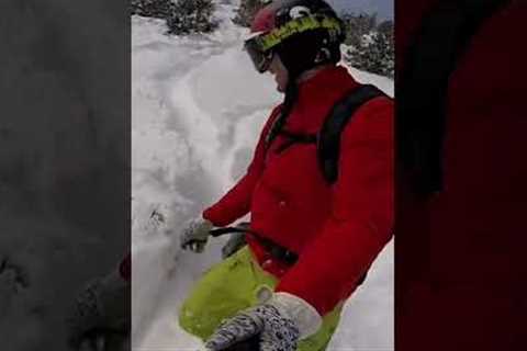 Playful Pup Runs Behind Snowboarder