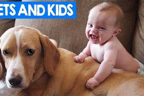 Kids And Pets Compilation 2018 | Funny Cats, Dogs and Kids Moments | Cute Critters TV