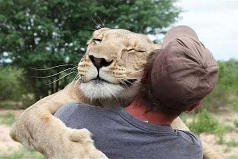 Animals vs Humans: Love is Hugs | Amazing Moments Caught On Camera