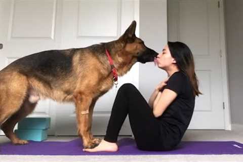 Working Out With Pets!