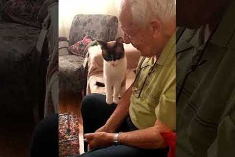 Adorable Grandpa And Cat Pat Each Other