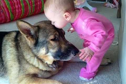 When you are my little friend - Cute Moments Dog and Human