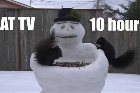 Saturday Morning Cartoons for Pets - 10 Hour Snowman Edition - Cat TV for Pets - Feb 24, 2024