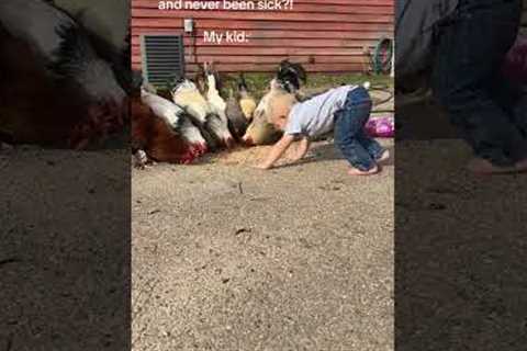 Boy Eats Food with Chickens