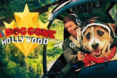 A Doggone Hollywood (2017) Official Trailer