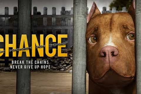 Chance (2019) Full Family Drama Movie Free - Eddie Goines, Simone Baker, Kenny Young