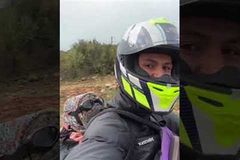 Pug Goes on Bike Ride Adventure with Pet Parent