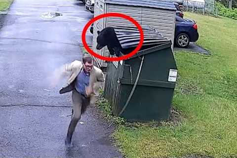 Bear jumps out of dumpster to surprise human FUNNIEST Animals Caught on CCTV 🤣