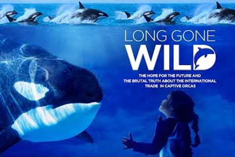 Long Gone Wild (2019) Full Documentary Movie Free - Richard O'Barry, Naomi Rose, Charles Vinick