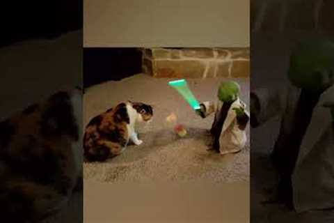 Cat Plays with Lightsaber Toy