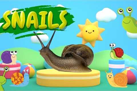 SNAILS 🐌 Funnyplox Forest Rangers 🌲 Happy Puppets 🌞 Snails Adventure Song 🎵 Learn Animals & Nature