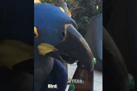 Bird Opens Beer Bottle | FROM THE VAULT