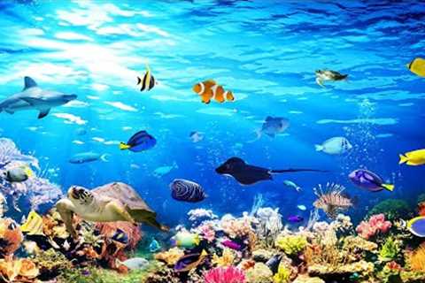 Under the Sea 🌊 Relaxing Nature Videos 🐠 Underwater Naturescape 🦈 Aquarium for TV 🐳