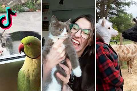 The Very Best of Pet TikTok 😹🤳