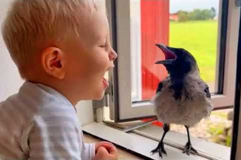 Wild Crow and Baby Have A Special Conversation Through The Window