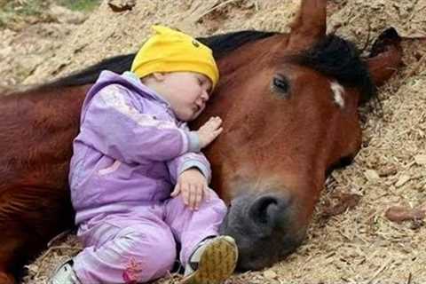 Tender Moment Between a Little Friend and a Horse