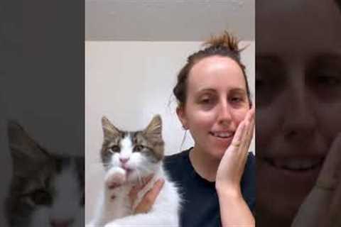 Cat Mimics Mom's Skincare Routine