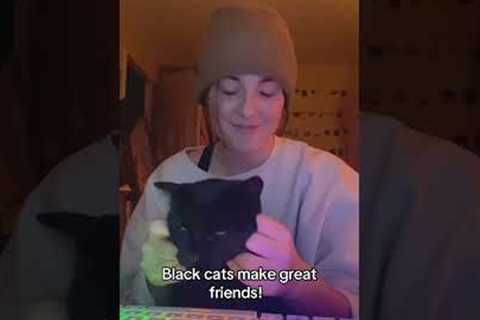 Black Cat Freaks Out While Getting Cuddled By Human