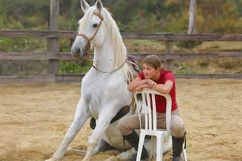 Loyal Horse and their Human have the Strongest Bond