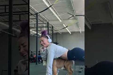 Adorable Bulldog Helps Mom Workout at Gym!