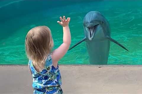 Baby Dolphin Saying Hello to Little Girl 🤣 Funny Animal 2024