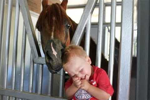 Tender Moment between a Little Friend and a Horse ❤️