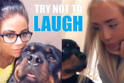 NEW Rottweiler Funny Videos (Compilation) | Featuring Cute Rottweiler Puppies