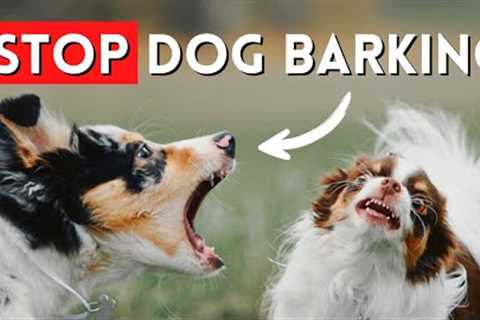 How To Stop Dog Barking- FAST (Easy To Understand Tips)